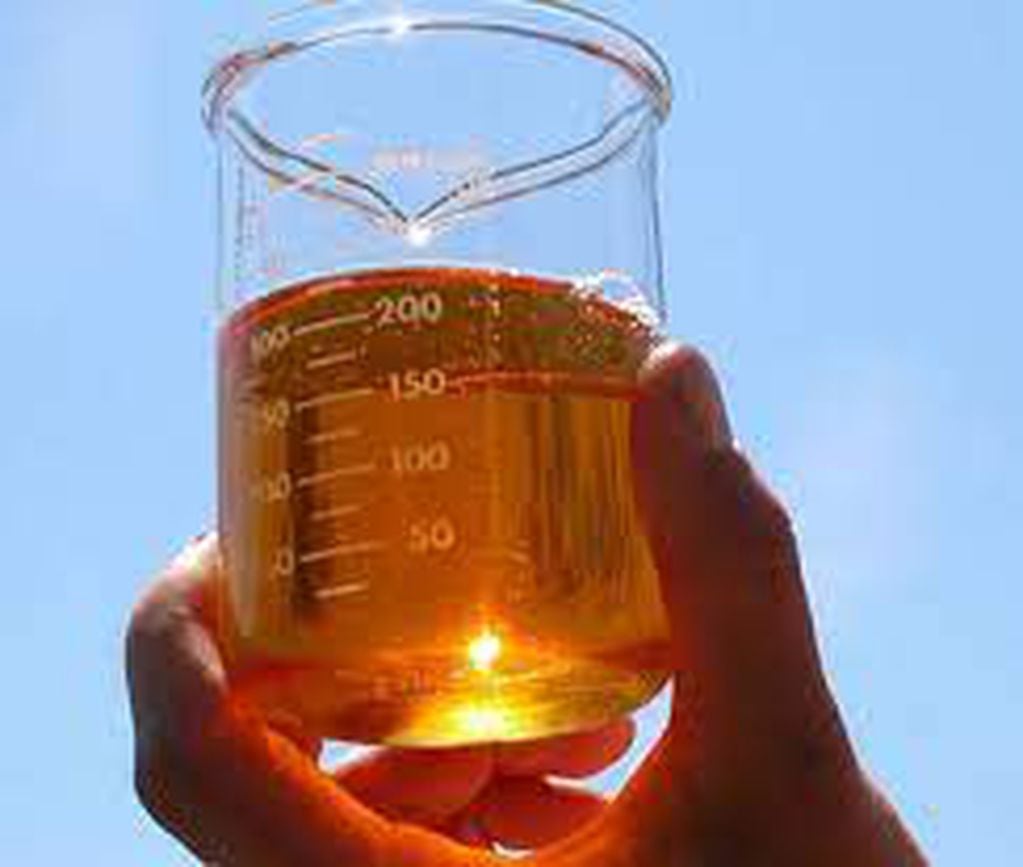 Recolección de aceite comestible usado en Capioví