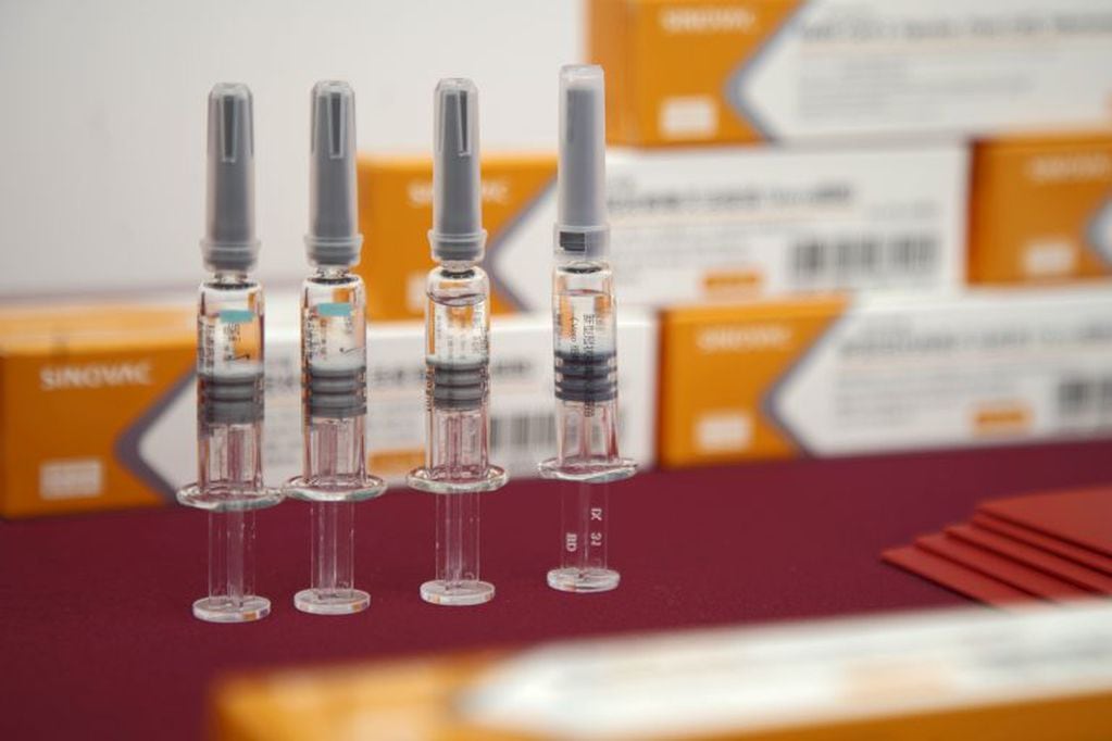 Coronavac, la vacuna china del laboratorio Sinovac\u002E (Bloomberg)