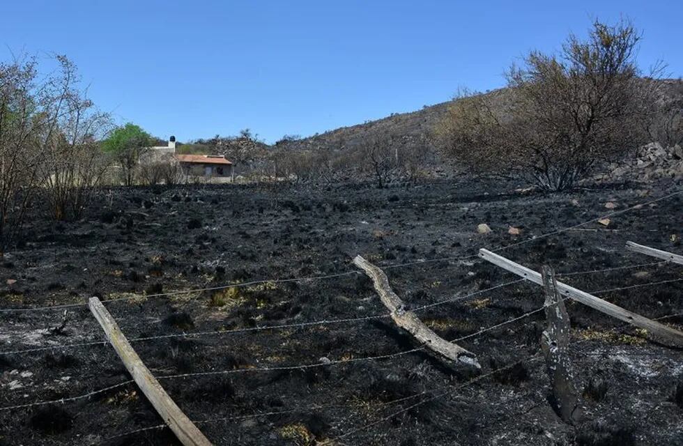 Incendios forestales en San Luis
