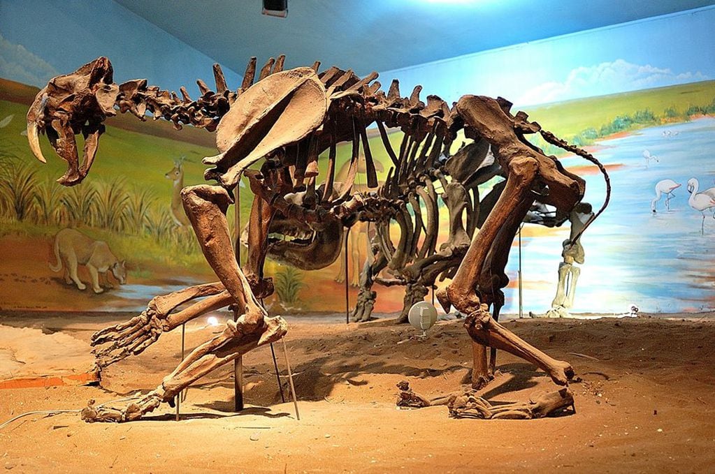 El Museo Darwin de Punta Alta inauguró su página web