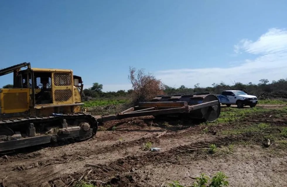 La dirección de Bosques detuvo un desmonte ilegal en Pampa del Infierno.