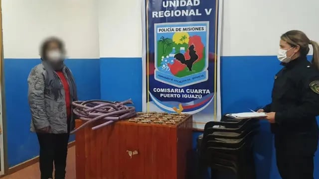 Efectivos policiales lograron recuperar elementos robados de un establecimiento escolar en Puerto Iguazú