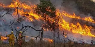 Incendios en Salta.