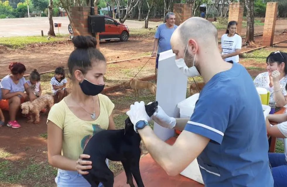 Operativo sanitario animal en Eldorado.