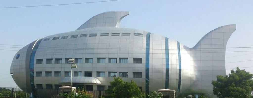 Edificio Pez (India).