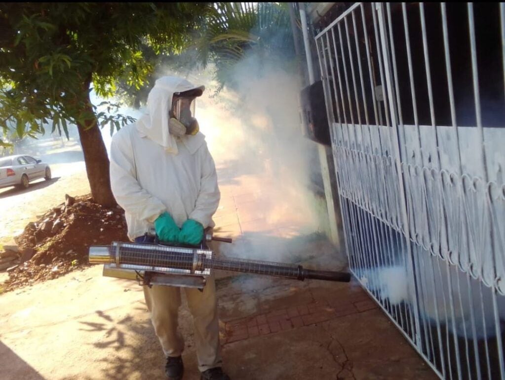 Posadas: realizan operativos contra el dengue durante el período interbrote
