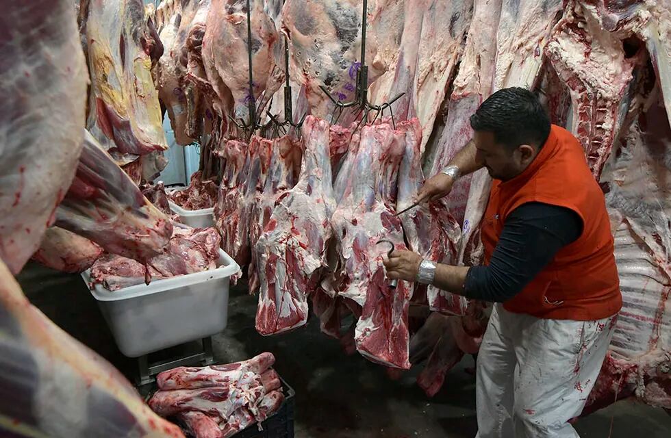 Un estudio reveló que el 20% de los gastos del hogar argentino está destinado a la compra de carne
Foto: Orlando Pelichotti / Los Andes