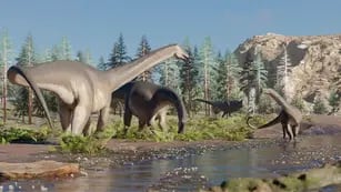 Se encontraron restos fósiles de un nuevo dinosaurio herbívoro de cuello largo en Neuquén.