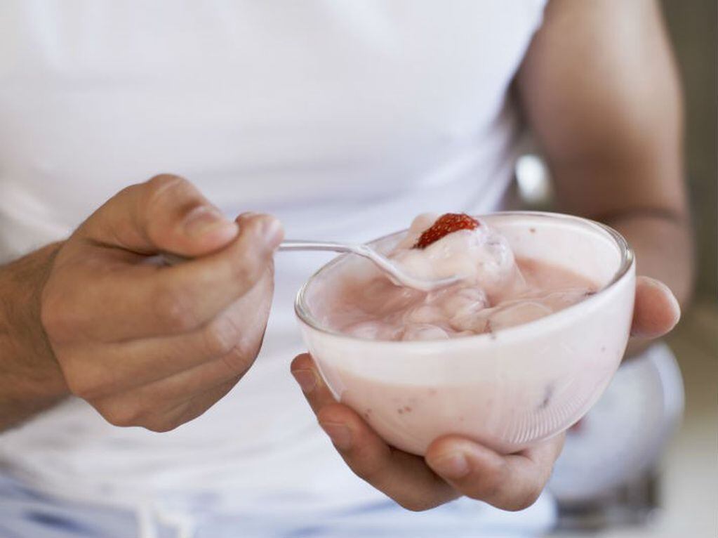 El yogur es un vehículo óptimo para  incorporar probióticos a la alimentación de los más pequeños.