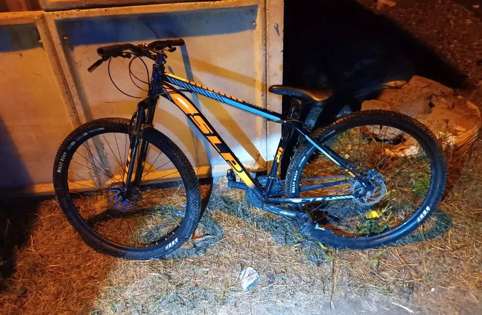 Una de las bicicletas robadas y recuperadas