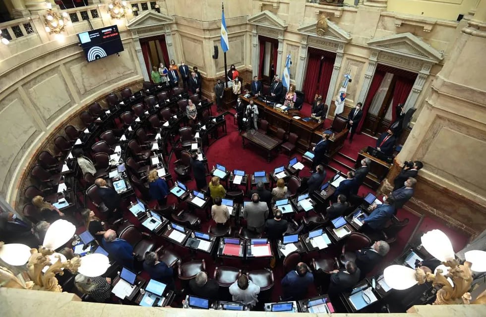 El Senado aprobó por unanimidad el alivio fiscal (Foto: Comunicación Senado)