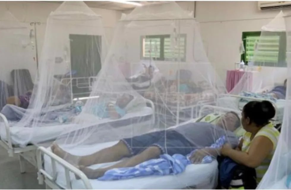 Internados con dengue. imagen ilustrativa