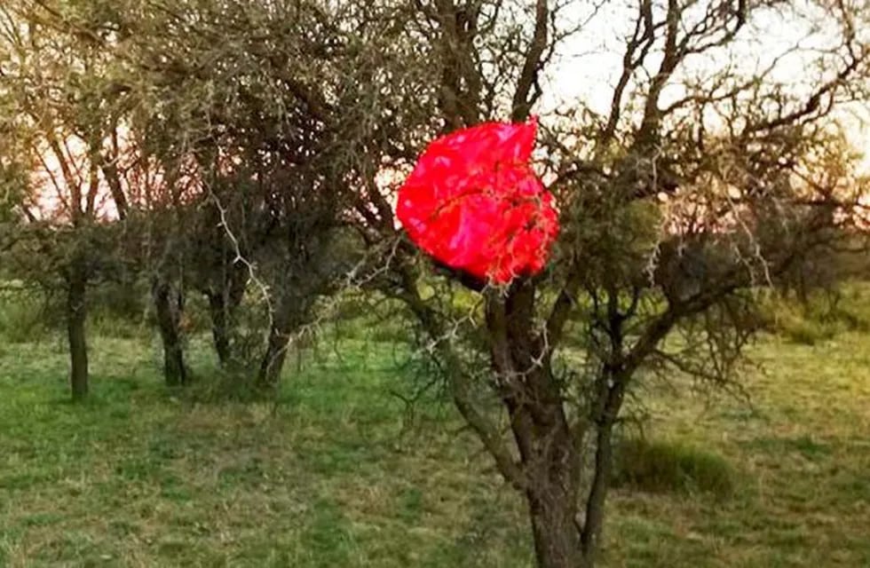 Un globo rojo con un mensaje cayó en un campo de La Pampa (Facebook)