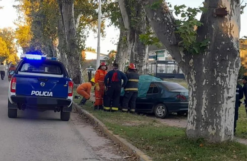 El auto impactó de frente ante el árbol ubicado al borde de la calle. (Policía)
