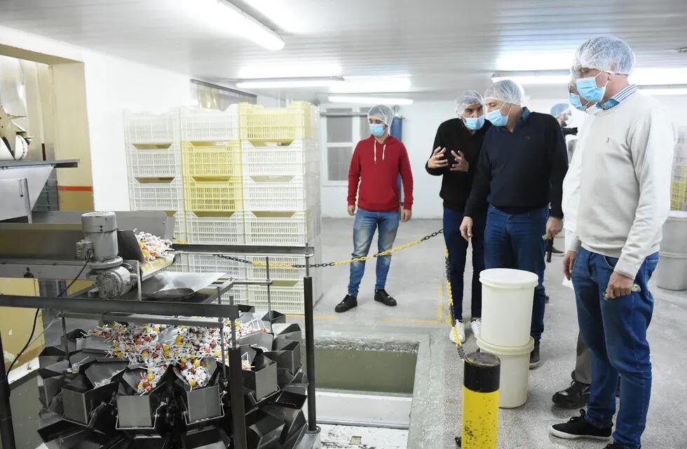 Luis Castellano recorrió las instalaciones de Marengo