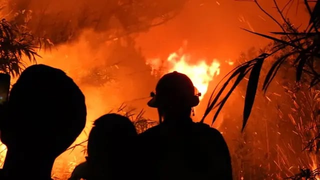Alerta por incendios en Misiones: solamente el lunes se registraron más de 30 focos en 15 municipios