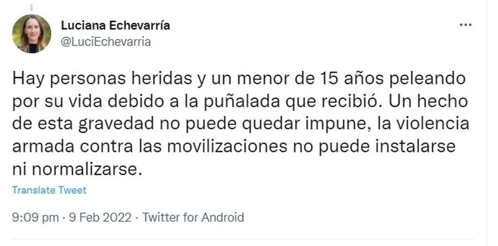 El tweet de la legisladora Luciana Echevarría.