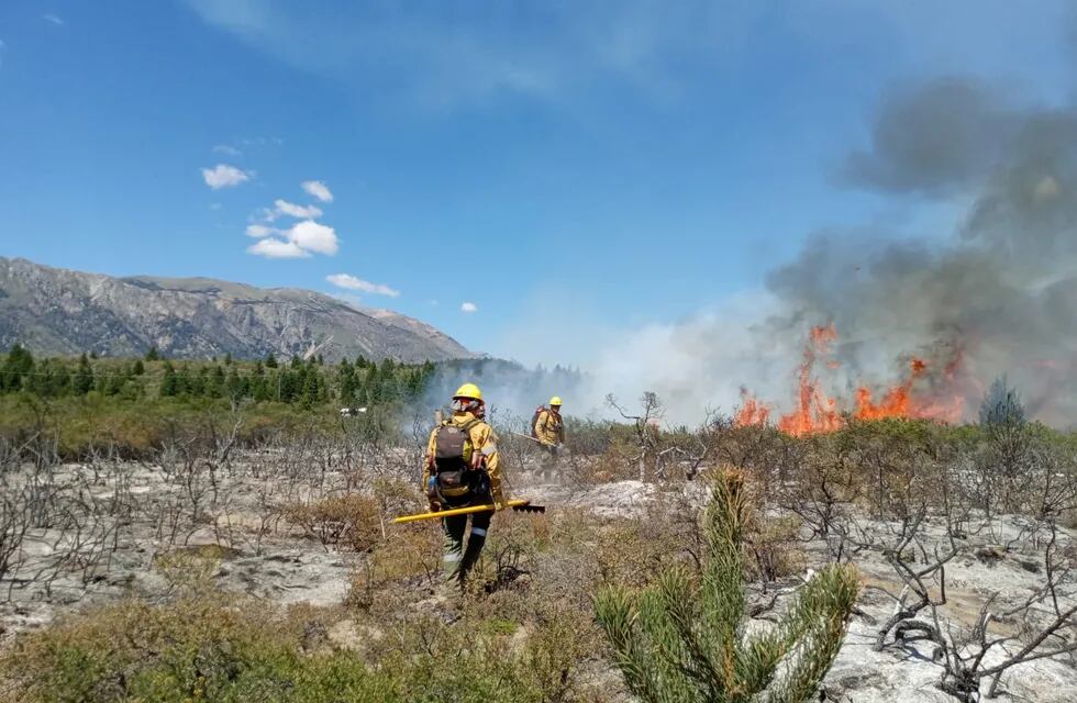 Se reactivó el incendio forestal cerca de El Bolsón (SPLIF Río Negro).