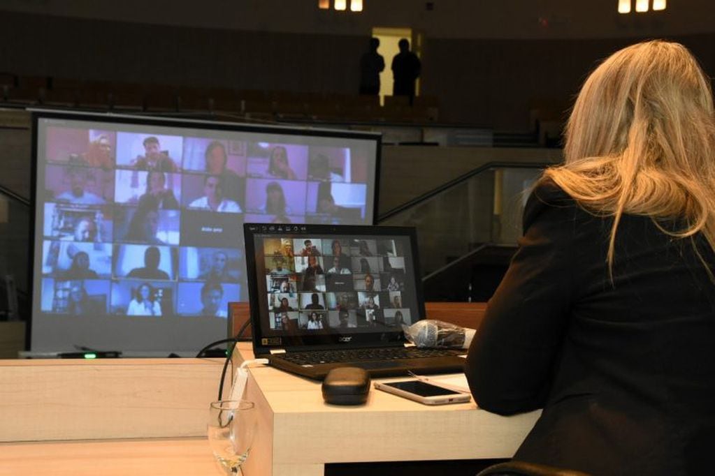El Concejo sesionó de manera virtual (Concejo Municipal de Rosario)