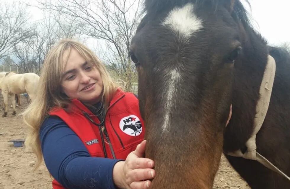 La gente de Rescate Equino, una organización local que se dedica al salvataje de caballos maltratados.