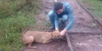 Encadenaron a un perro a las vías del tren en Chaco y los maquinistas debieron frenar para rescatarlo