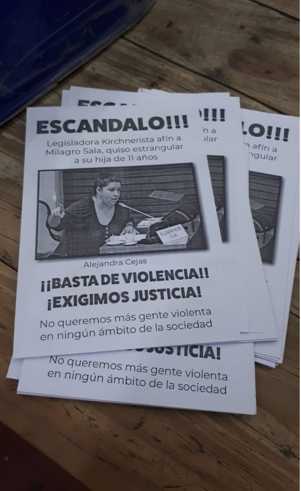 Panfletos que circularon por las calles de San Salvador de Jujuy denunciando a la legisladora opositora.