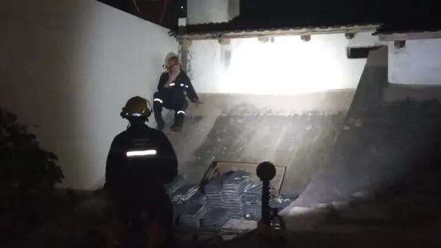 Gato rescatado por bomberos