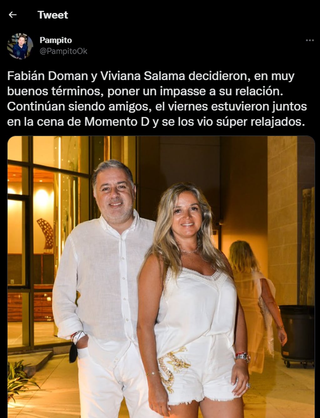 Tras varios meses de noviazgo, Fabián Doman se separó de Viviana Salama.