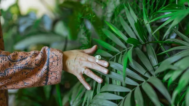 Los nietos de una abuela salteña venden plantas para pagar su tratamiento