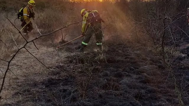 Bomberos sofocaron un incendio que quemó 2 hectáreas de Monte Autóctono en Arroyito