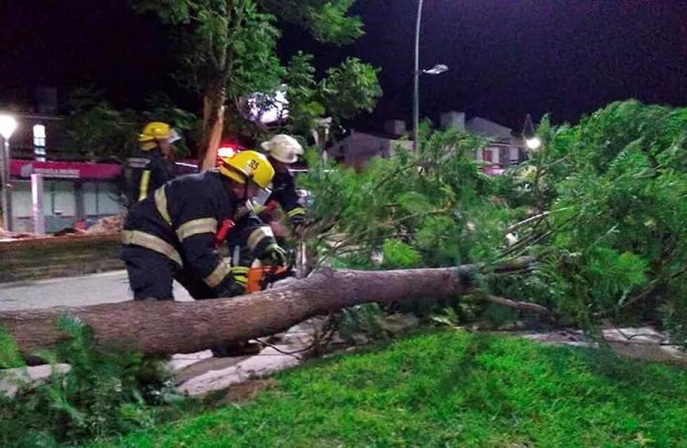 Destrozos del viento en Río Cuarto con la llegada de la tormenta. (Gentileza Puntal.com)