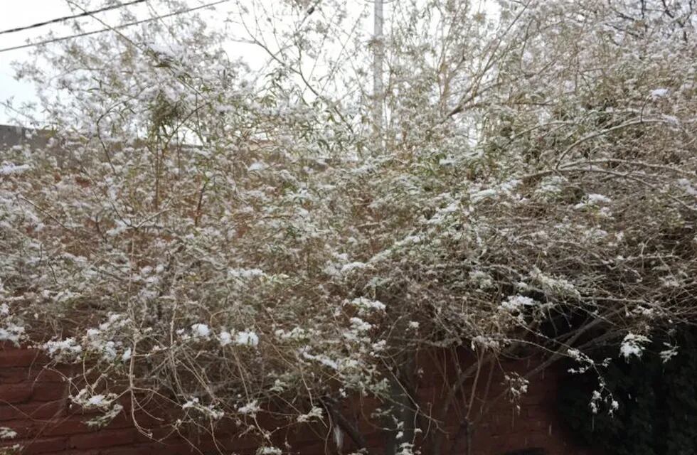 Nieve en Mendoza