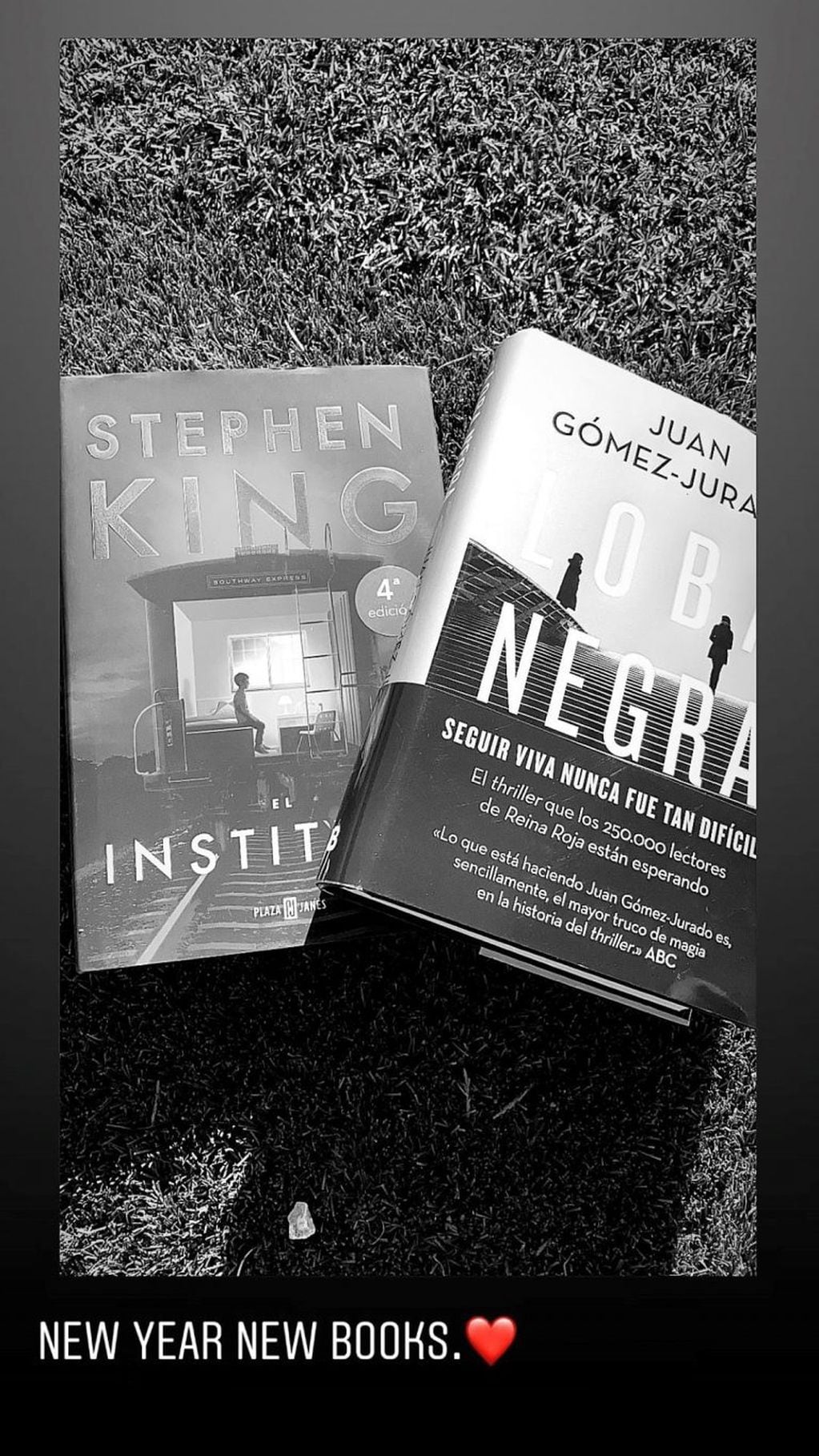Antonela Roccuzzo compartió libros de Stephen King y Juan Gómez Jurado con sus seguidores. (@antonelaroccuzzo)