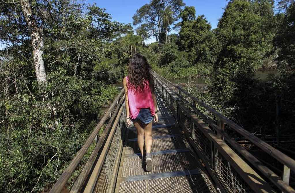 Paseo por una de las pasarelas del Parque Nacional Iguazú. (CIMECO)