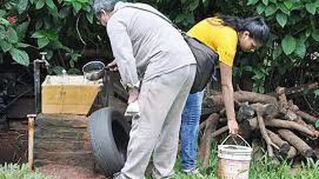 Aumentan los casos de dengue en Misiones: instan a la detección temprana y prevención