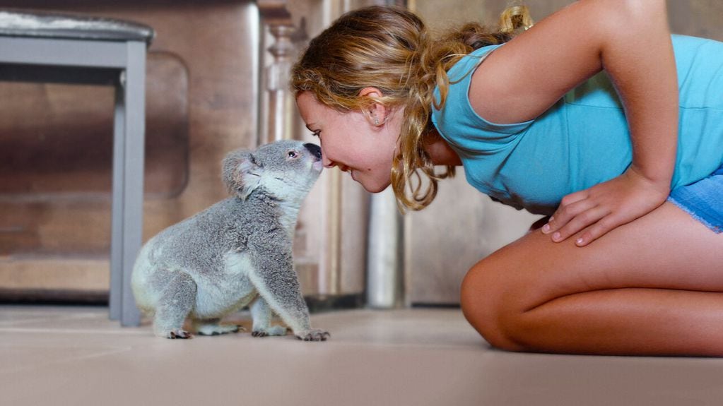 La serie cuenta la historia de Izzy ayudando a los Koalas.