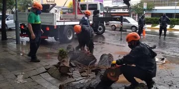 Daños que dejó la tormenta en Rosario. (Municipalidad de Rosario)