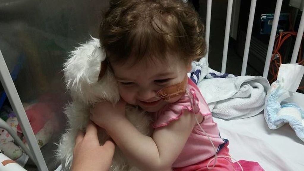 Una niña se muestra agradecida con su nuevo peluche, fabricado por Campbell Remess (Internet)