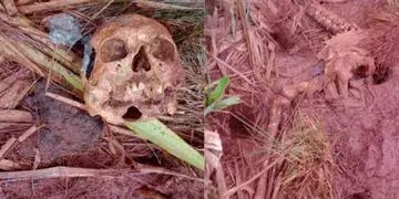 Encuentran restos humanos en un sector de campo en la localidad de Apóstoles