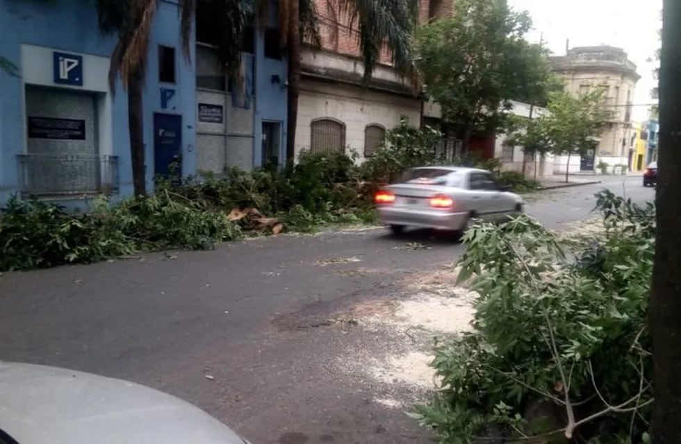 Cientos de ramas quedaron sobre la vía pública luego del temporal. (@mauroyasprizza)
