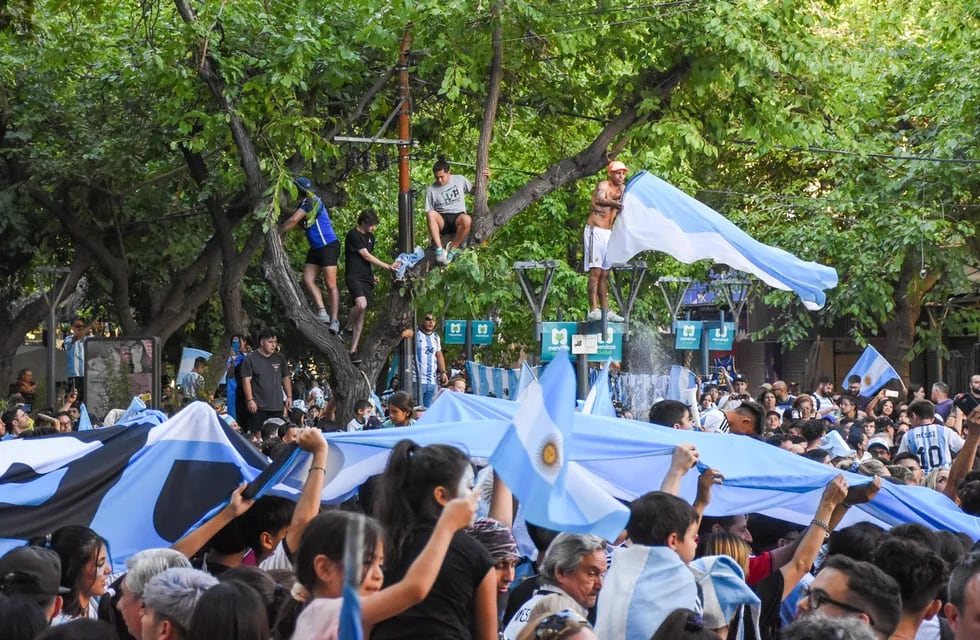 Una multitud celebró en el centro de Mendoza el pase de Argentina a la final del Mundial de Qatar.