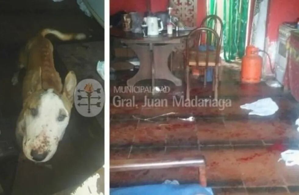 Nena atacada por un perro / Foto: Municipalidad Gral. Madariaga