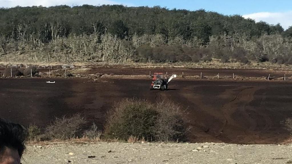 Primeras pruebas en el campo con la maquina extractora de turba