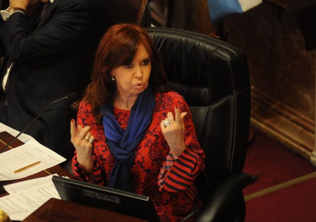 Cristina Kirchner en el Senado. (Federico López Claro)