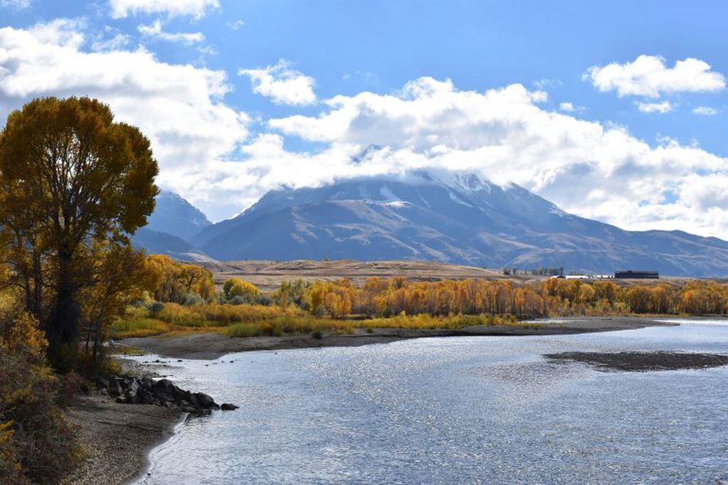 Parque Nacional de Yellowstone (AP Photo/Matthew Brown)