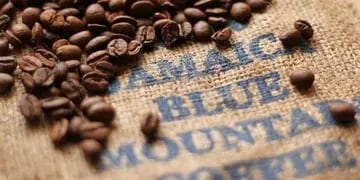 Cuáles son los cafés más caros: los precios de exclusivas alrededor del mundo