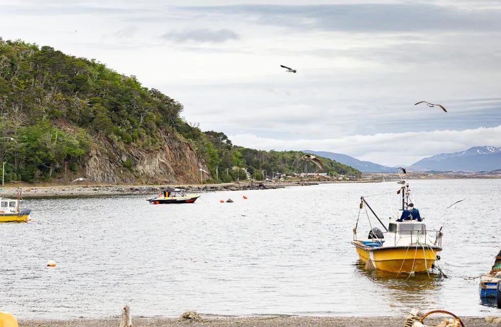 Se levantó la veda parcial de moluscos bivalvos en las zonas de Bahía Brown y Punta Paraná