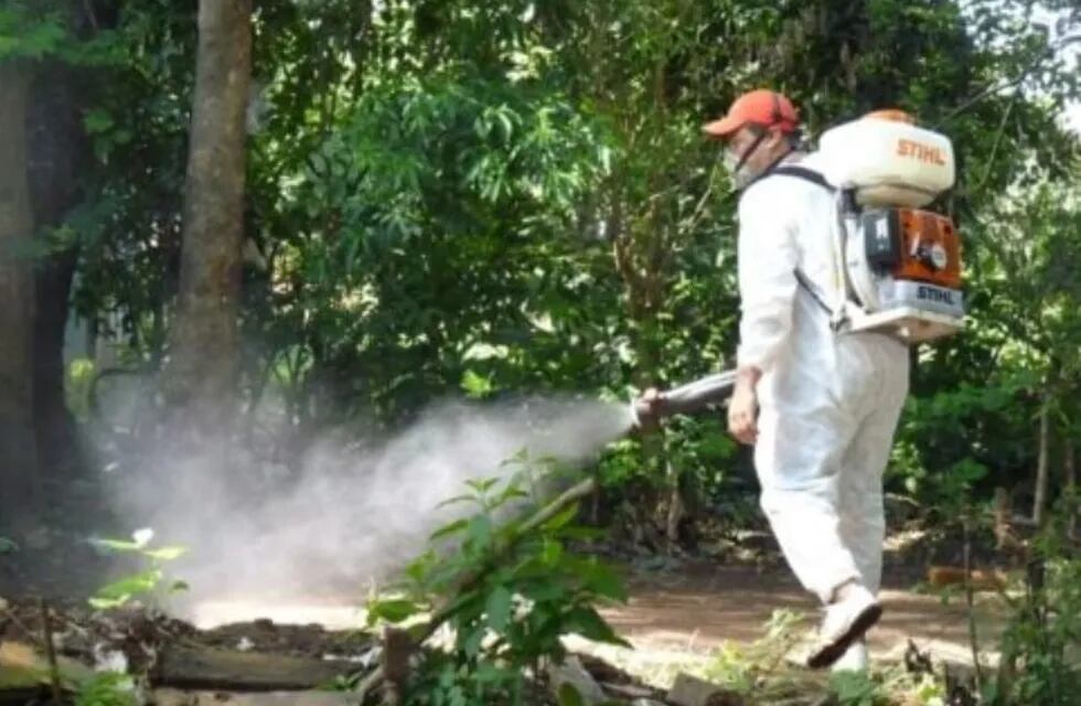 Siguen en aumento los casos de chikungunya en Misiones.