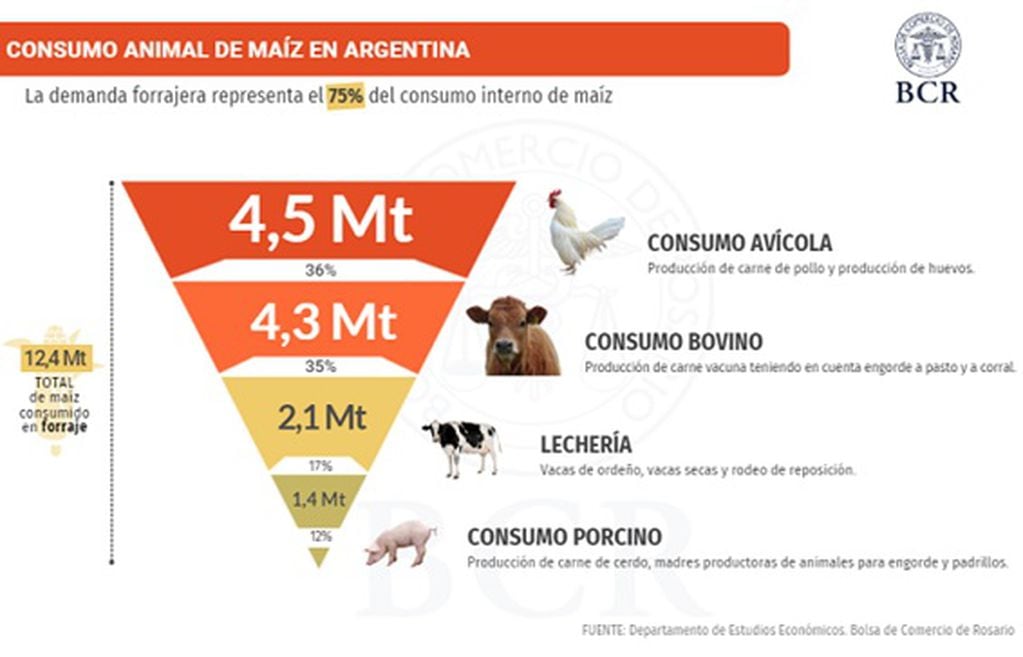 Consumo animal de maíz en Argentina