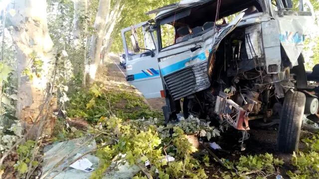 Camión chocó contra un árbol en San Rafael